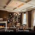 Chandelier — Curved Petal Shades & Brass Frame for Dining Room