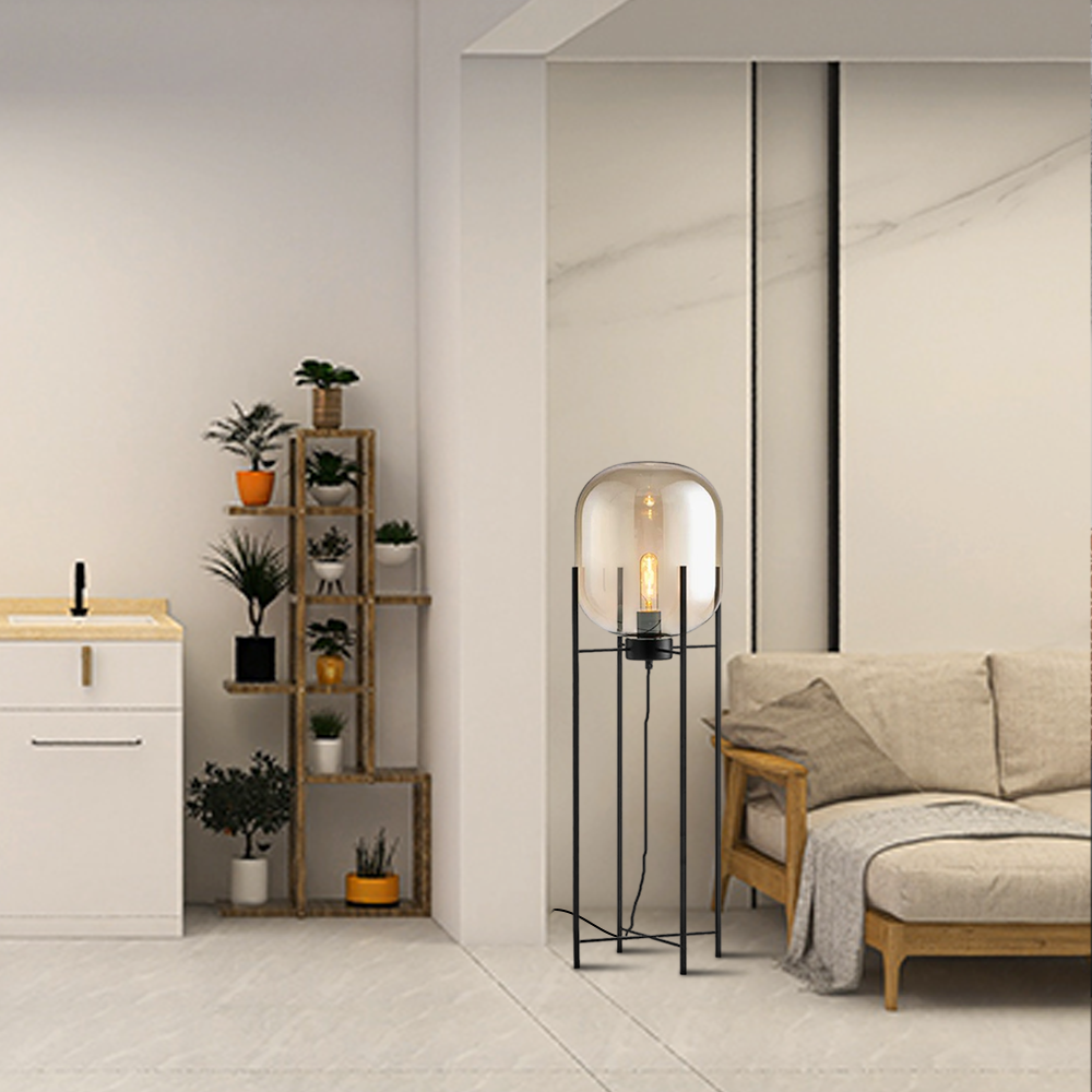 Floor Lamp – Clear Glass & Metal Elliptical Design for Living Room