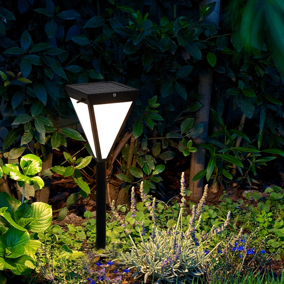 Modern Solar Outdoor Path Light