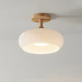Modern Glass LED Ceiling Light