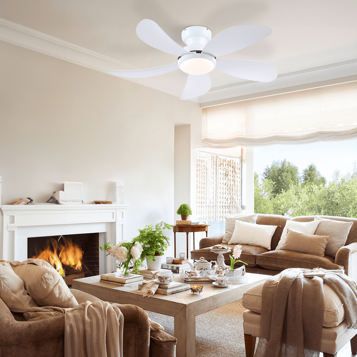 Graceshire contemporary ceiling fan - Joyfuzzy