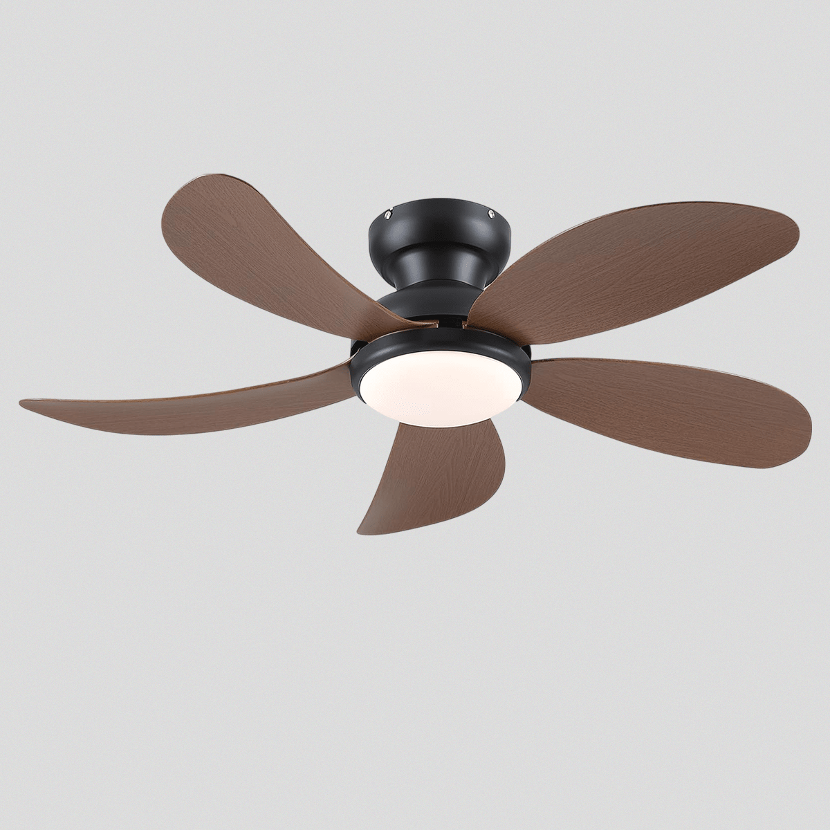 Graceshire contemporary ceiling fan - Joyfuzzy