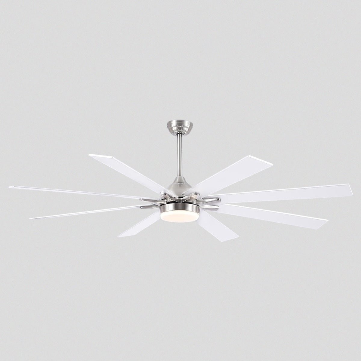 Ventora Fans with Lights - Joyfuzzy